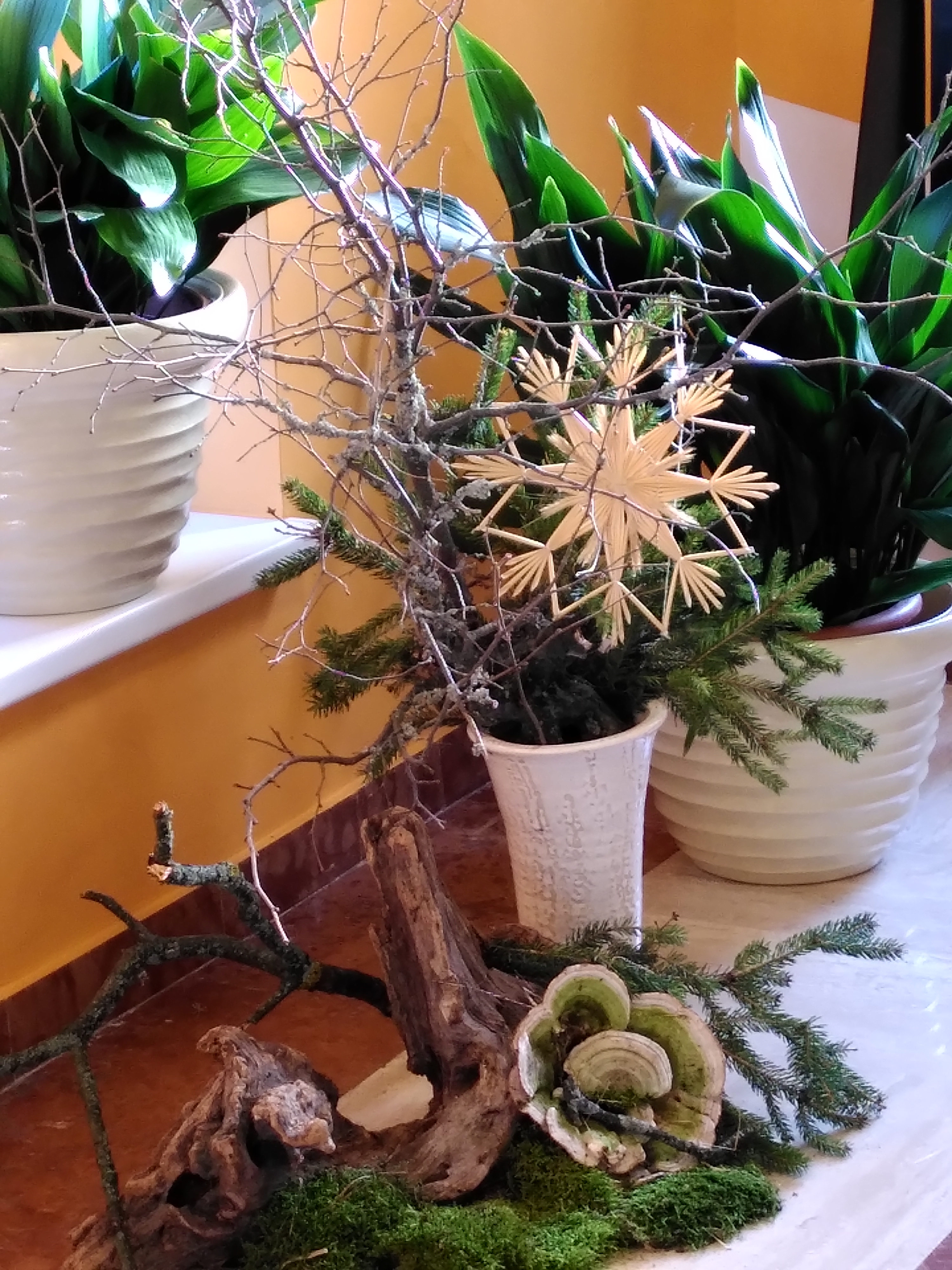 2020 12 27 Weihnachtsdeko MD Aufbahrungshalle 1