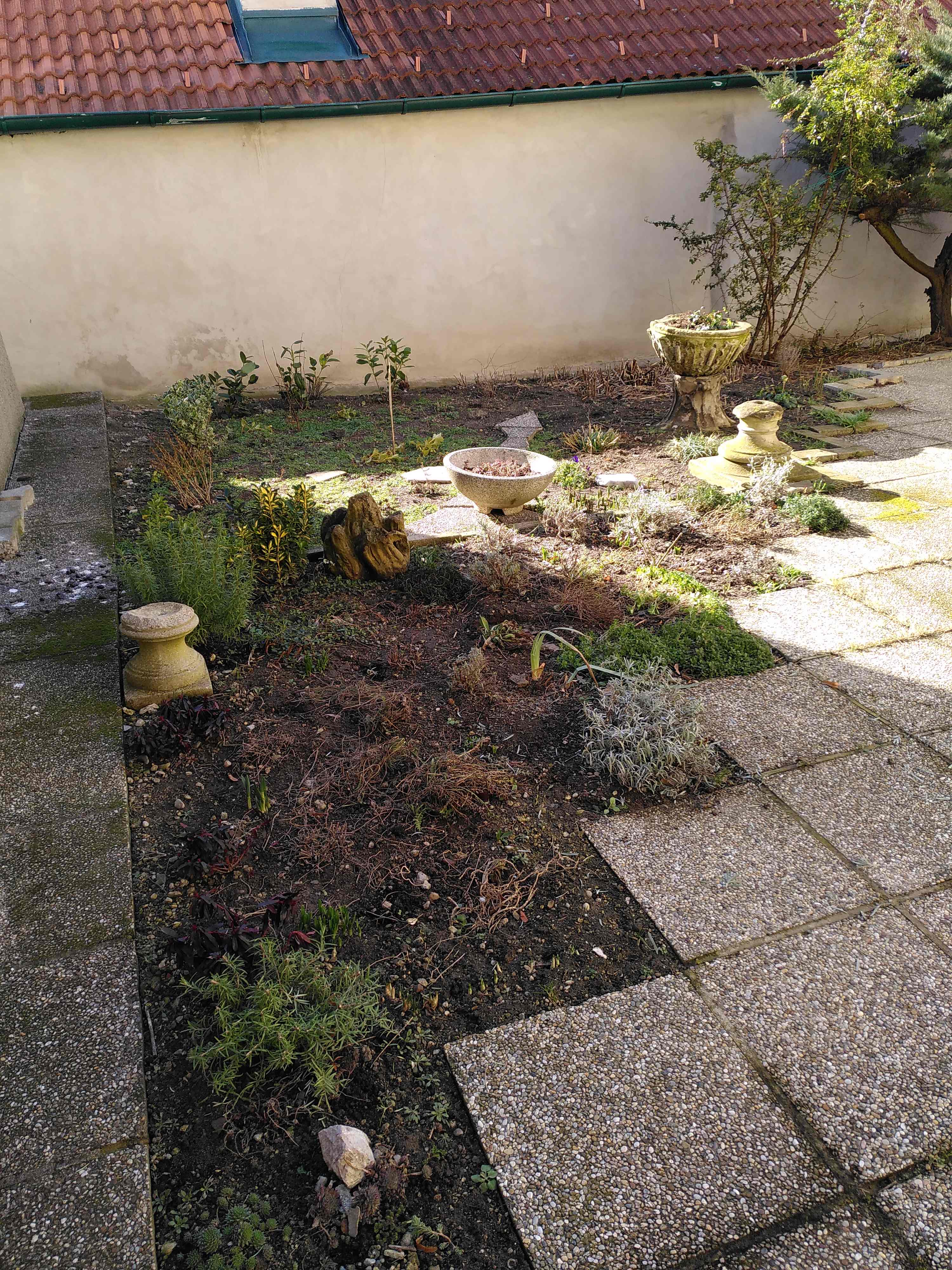 2021 02 18 Rückschnitt Blumenbeet klein