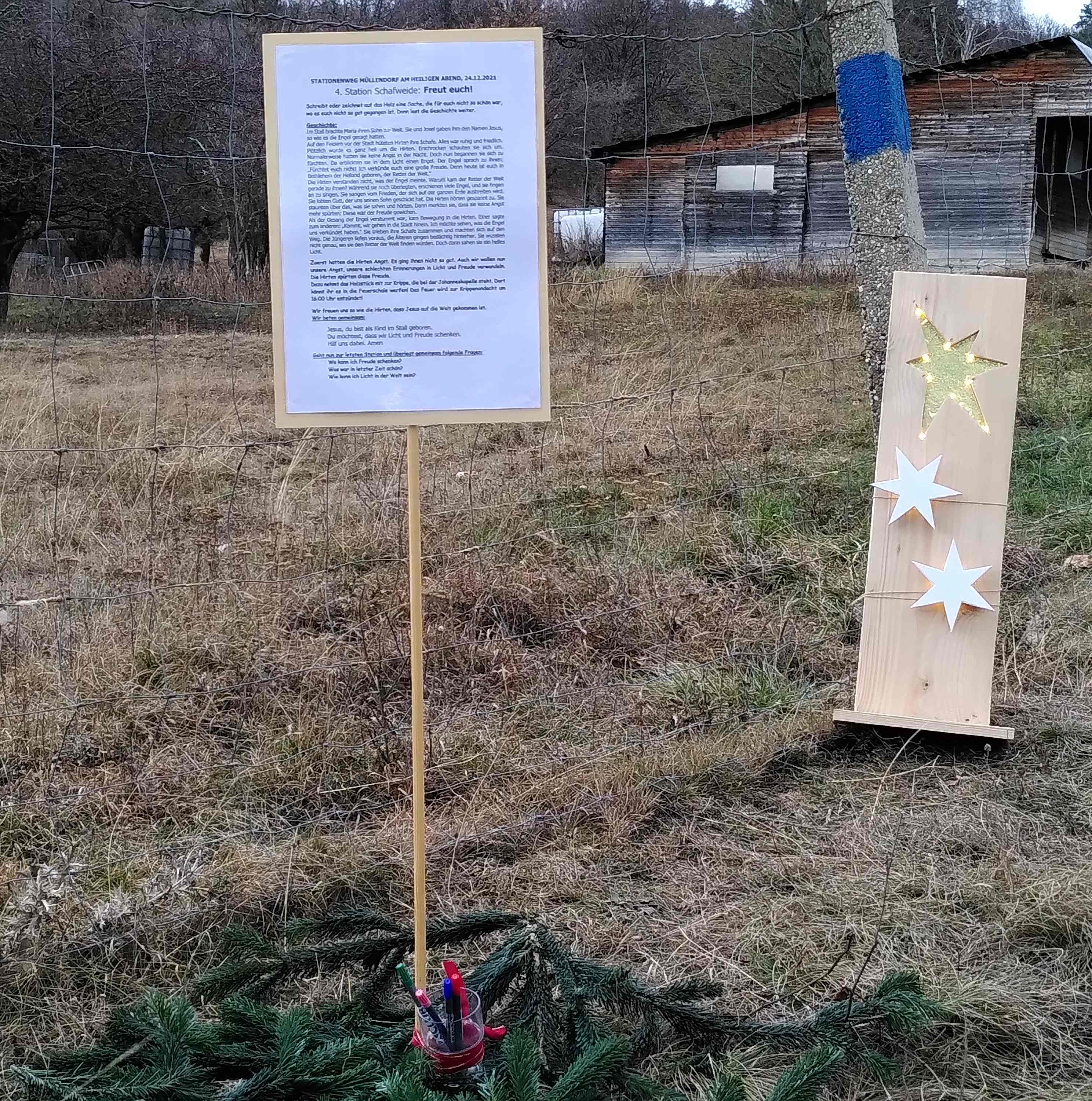2021 12 24 Schafweide klein