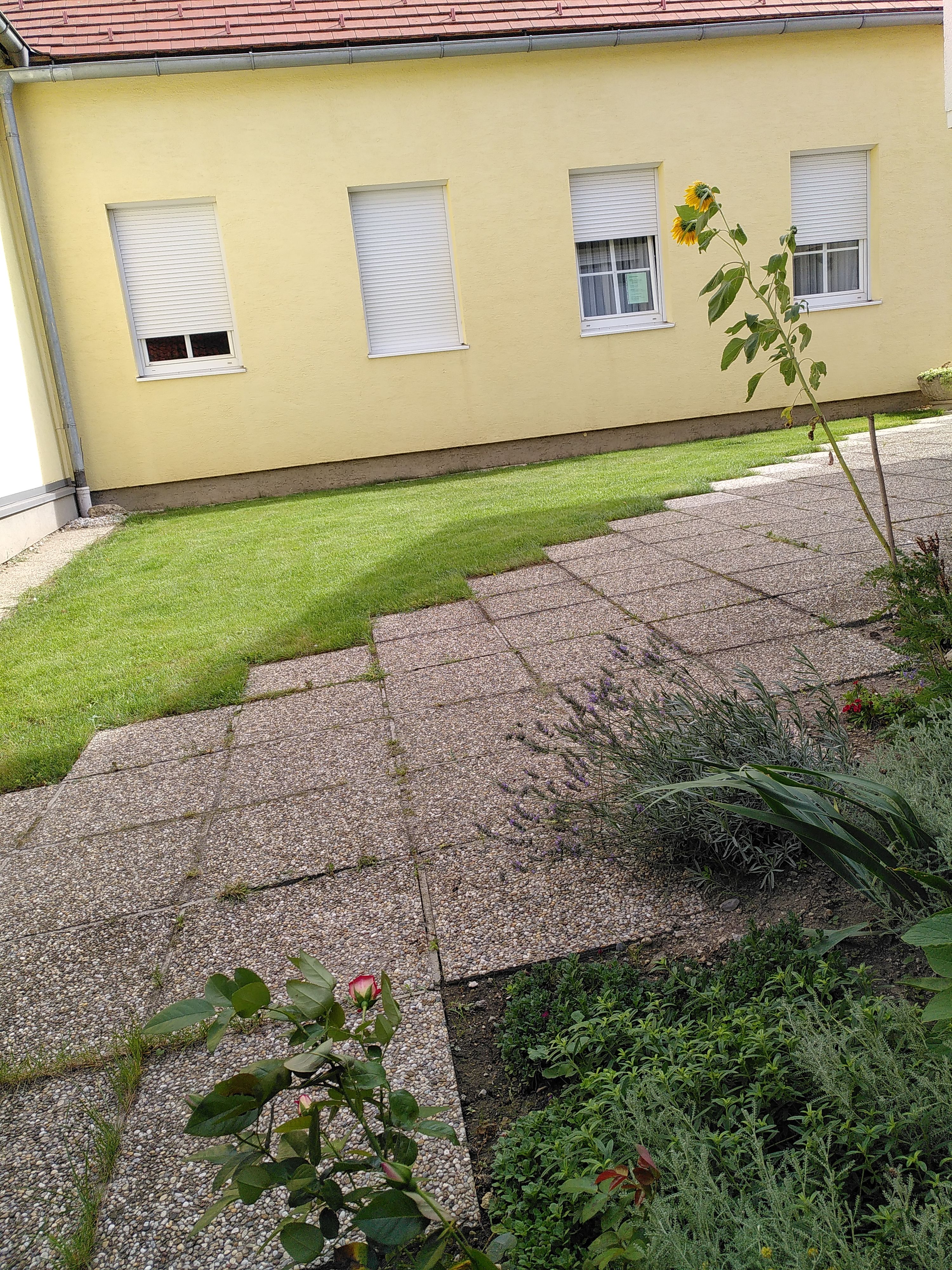 7 IMG 20200827 101242