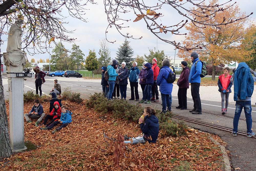 materlwanderung 11 20181105 1744508440